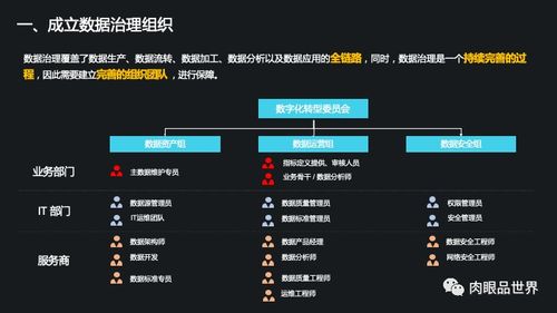 集團數(shù)據(jù)管控與數(shù)據(jù)治理解決方案 打造高效、可信的數(shù)據(jù)處理服務(wù)