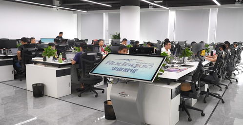 深圳 挖掘數據潛能，為企業打造星級政務服務新生態